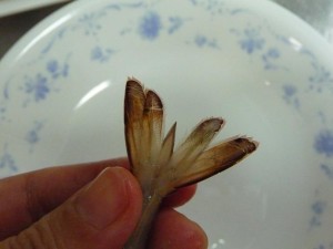 エビとアスパラのマヨネーズ和え4-エビの下処理1